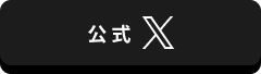 公式X